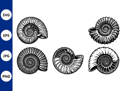 Ammonite Shells in Black and White Line