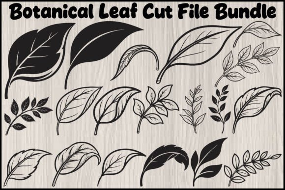Botanical Leaf Cut File SVG Bundle: Graphics & Illustrations