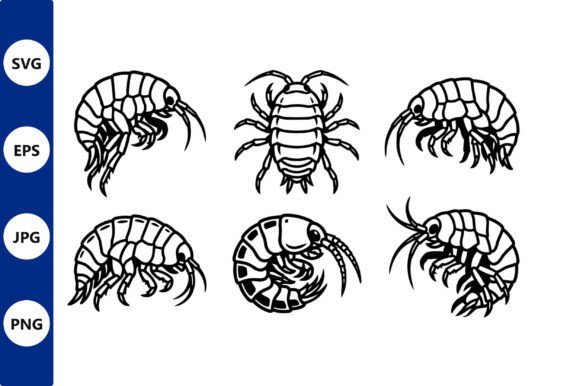 Crustacean Vector Silhouettes Shrimp Graphics & Illustrations