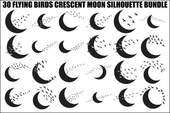 Flying Birds Moon SVG Bundle: Graphics & Illustrations