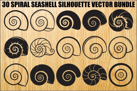 Spiral Seashell SVG Bundle: Graphics & Illustrations for Brand Storytelling